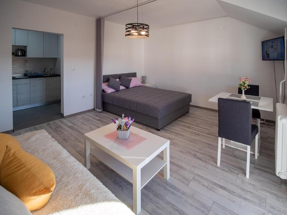 Apartman Sara Daire Novi Sad Dış mekan fotoğraf