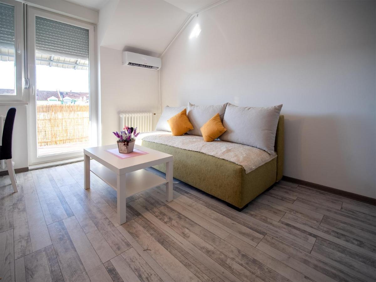 Apartman Sara Daire Novi Sad Dış mekan fotoğraf